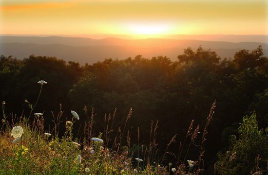 Shenandoah national park