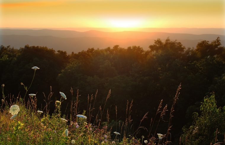 Shenandoah national park